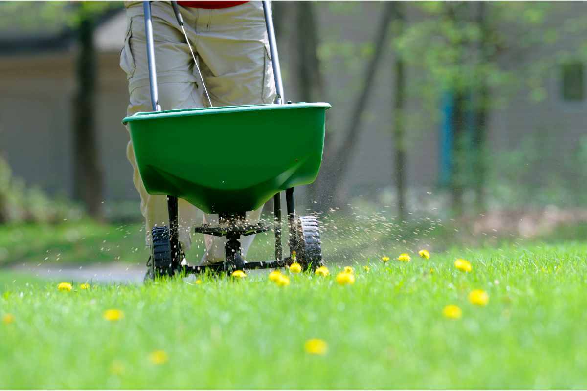 The Truth About Weed and Feeds