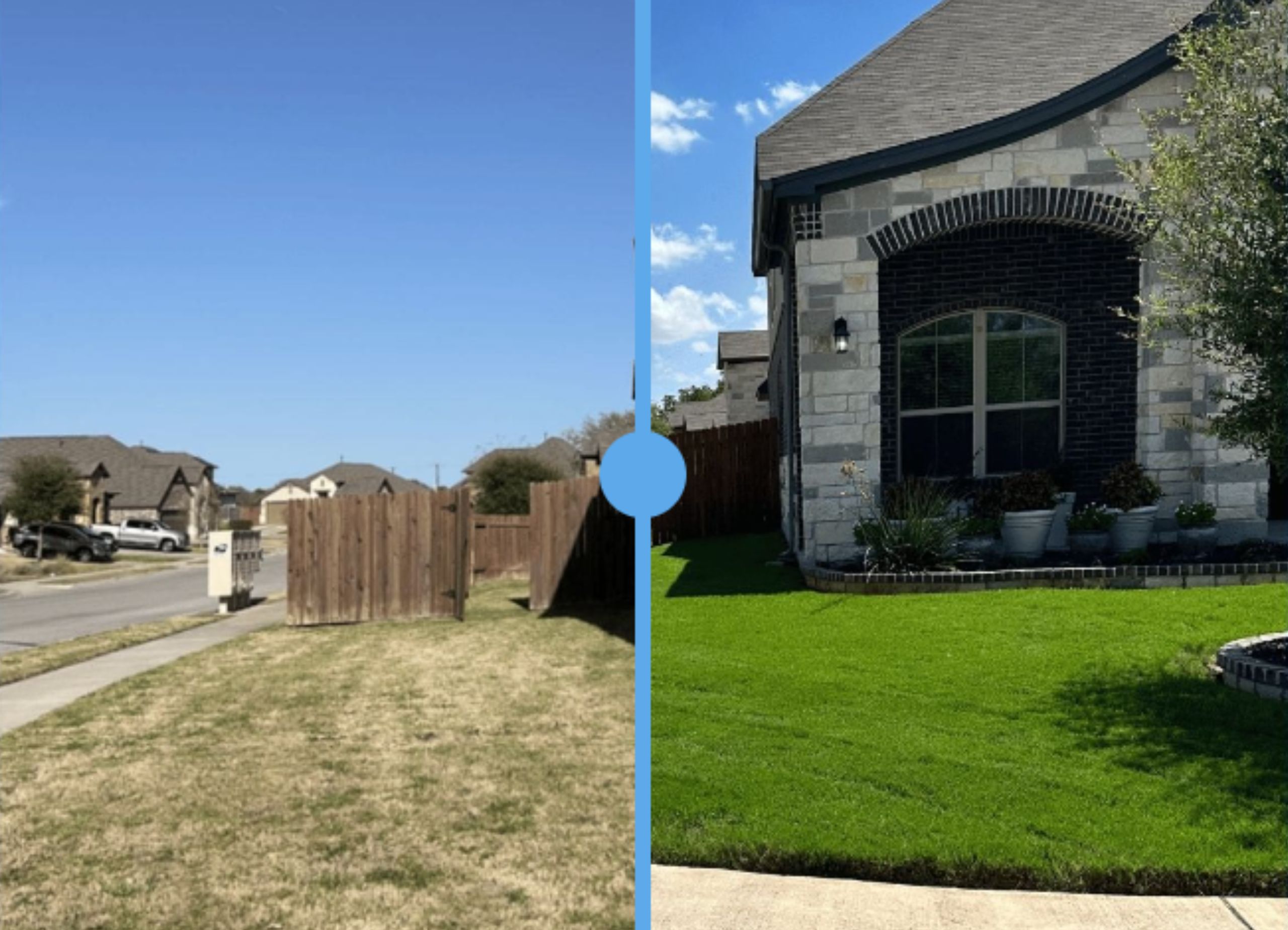 THL Blue Lawn Rehab Service | THL Blue Austin Lawn Care Services