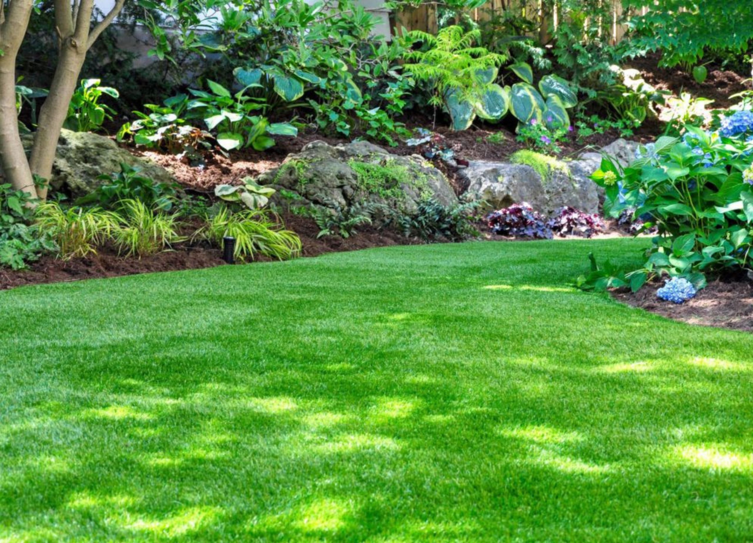 THL Blue Weed Care Service